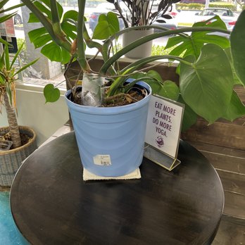 Swami Juice - Juice Bars & Smoothies Near Me - Davie, Florida
