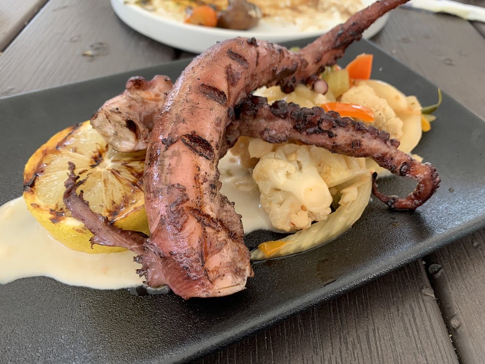 MOTORINO Updated August 2024 62 Photos & 37 Reviews 1700 King