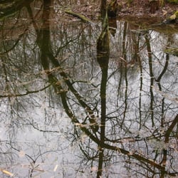 Der Ebberg - Vollgelaufene Bergbaugrube