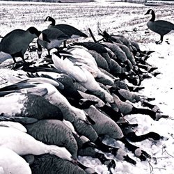 True Kansas Outdoors