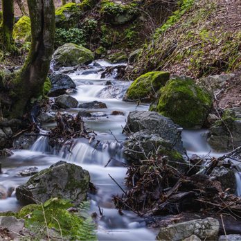 Indian Valley Open Space Preserve - Parks Near Me - Novato, California