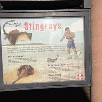 Bolsa Chica State Beach Campground - Watch out for stingrays and jelly fish. - Campgrounds Near Me - Huntington Beach, California Bolsa Chica State Beach Campground - Watch out for stingrays and jelly fish. - Campgrounds Near Me - Huntington Beach, California