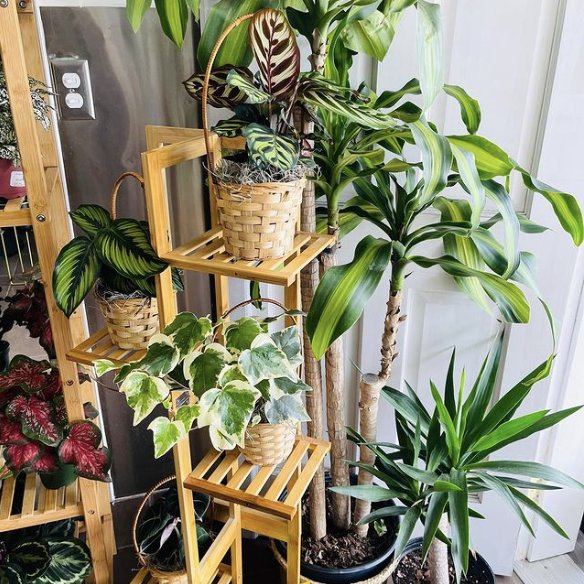 FLOWER BARN FLORIST 1616 Ocean Ave, San Francisco, California