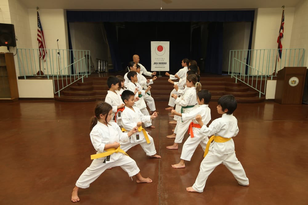 Japan Karate Association Logo