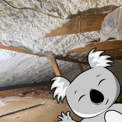 Koala Insulation of Central Atlanta - Open cell spray foam in attic