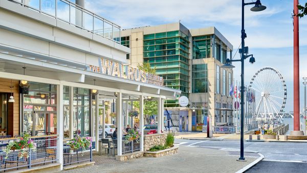 The Walrus Oyster & Ale House by null