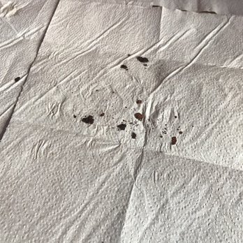 River City Cafe - Rust falling from overhead AC duct. Fell onto hair, table and clothing twice during my dining experience. - American Near Me - Surfside Beach, South Carolina