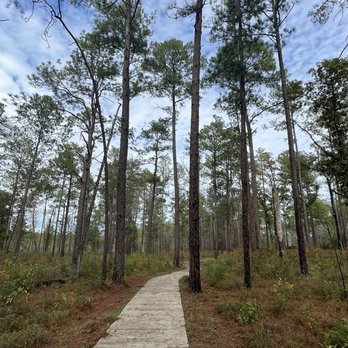 Big Thicket National Preserve - Parks Near Me - Kountze, Texas