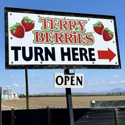Terry Berries - Terry Berries is located off of Telephone Rd in Ventura!