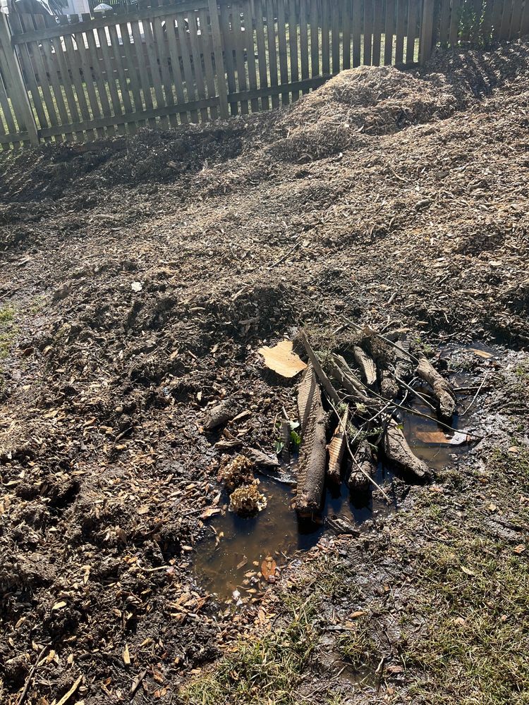 Unlimbited Tree Service - tree service in Severn, MD