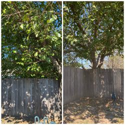 Dun' Dirt Cheap Lawn & Landscape - Tree trimming