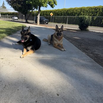 Lush Spaw - Pet Groomers Near Me - San Jose, California Lush Spaw - Pet Groomers Near Me - San Jose, California