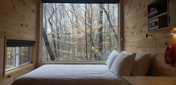 Postcard Cabins Dale Hollow by null