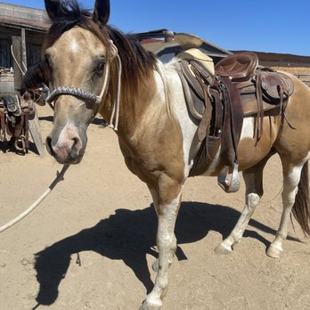 Surfside Ranch - Horseback Riding Near Me - San Diego, California