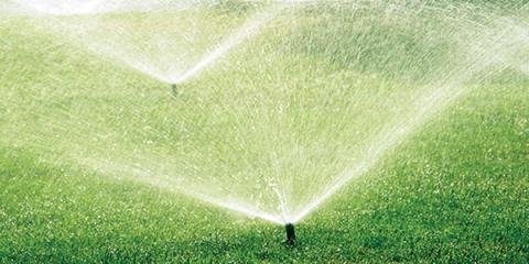 Slide of Nature Plus Lawn & Irragation