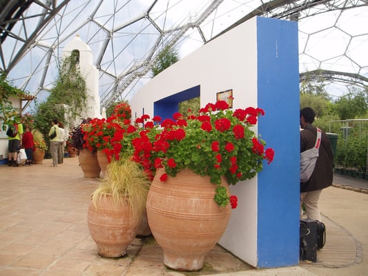 Eden Project by null