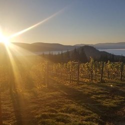 Larch Hills Winery