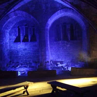 Kirkstall Abbey by null