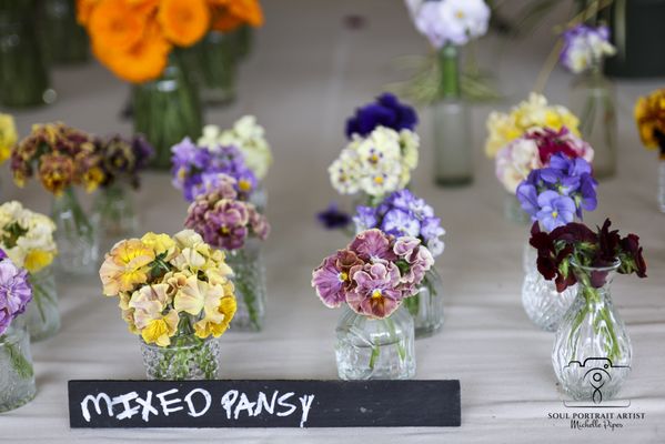 Baker Creek Heirloom Seed Company by null