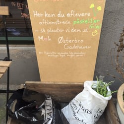 Grab 'n' Cook - Blomsterindsamling til genplantning!