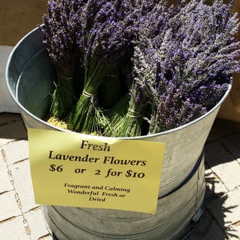 Oak Park - Vendor selling fresh lavender - Parks Near Me - Santa Barbara, California