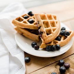 Foodie Fresh Meals
