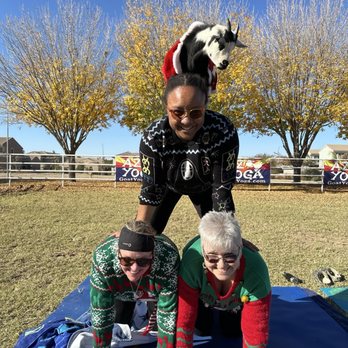 Goat Yoga - Christmas sweaters were on point. - Yoga Near Me Goat Yoga - Christmas sweaters were on point. - Yoga Near Me