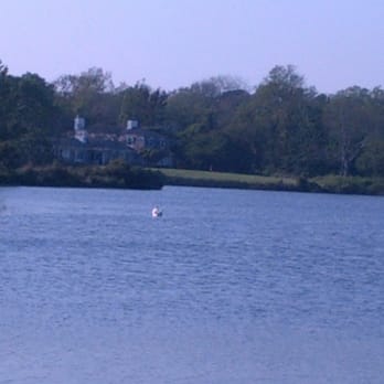East Hampton Main Beach - Pond next to pay lot - Beaches Near Me - East Hampton, New York