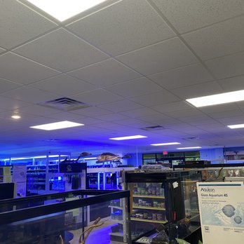 Reeflections Aquarium - Aquariums - Local Fish Stores Near Me - Jacksonville, Florida