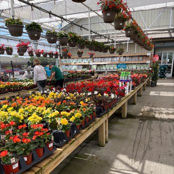 Petitti Garden Centers - Nurseries & Gardening Near Me - North Canton, Ohio Petitti Garden Centers - Nurseries & Gardening Near Me - North Canton, Ohio