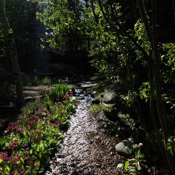Betty Ford Alpine Gardens - Botanical Gardens Near Me - Vail, Colorado