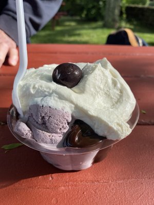 Sundae School by null