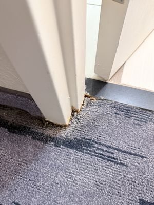 Fairfield by Marriott Inn & Suites Orlando International Drive/Convention Center by null