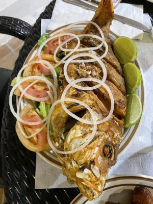 Habana Vieja Restaurant by null
