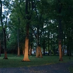 Riverside Green Park