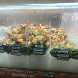 Captain's Tavern Seafood Market