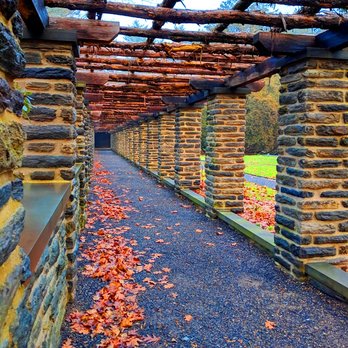 Stoneleigh: A Natural Garden - Stoneleigh -- Pergola thing - Botanical Gardens Near Me - Villanova, Pennsylvania