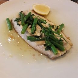 Trout Trout