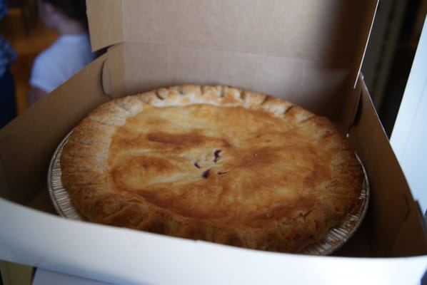 Cindy's Pies by null