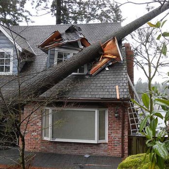 Black Label Builders - Storm damaged roof, insurance claim - Roofing Near Me Black Label Builders - Storm damaged roof, insurance claim - Roofing Near Me