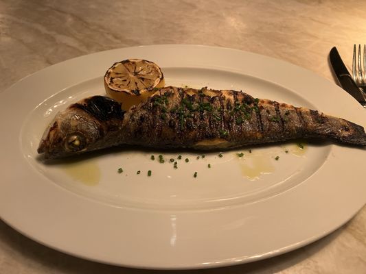 RH Rooftop Restaurant at RH Raleigh by null