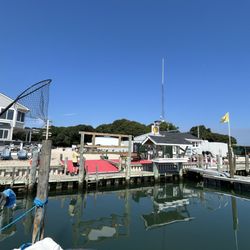 View from the docks