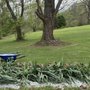 Photo of Dremer Lawn Care & Landscaping