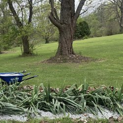 Dremer Lawn Care & Landscaping