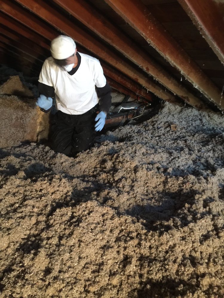 Slide of LA Cleaning & Restoration Services