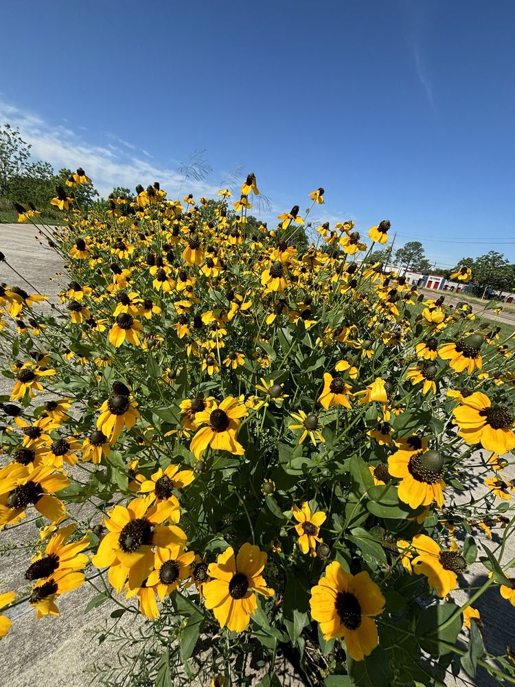 Willow Waterhole Conservation Reserve - social services organization in Houston, TX