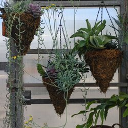 Genrich's Florist & Greenhouse