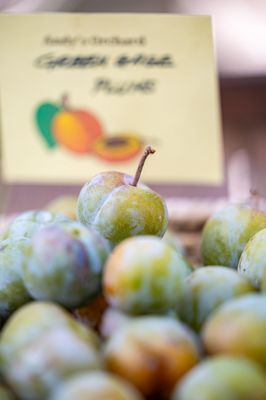 Andy's Orchard by null