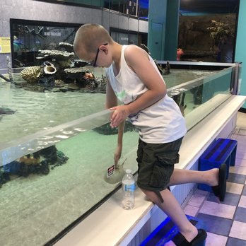Seaport Aquarium - One of the petting tanks - Aquariums Near Me - Wildwood, New Jersey Seaport Aquarium - One of the petting tanks - Aquariums Near Me - Wildwood, New Jersey