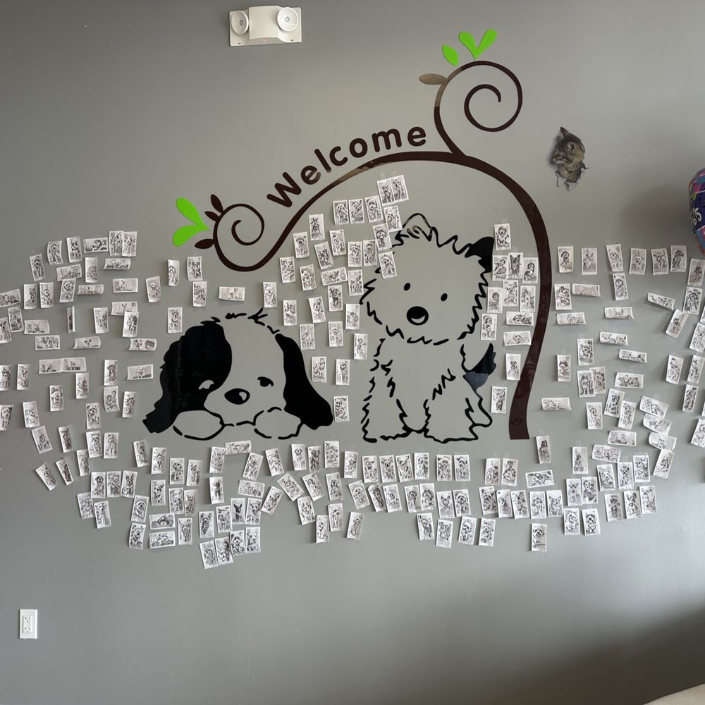 Halo Pet Grooming - Wall of fame - Pet Groomers Near Me - Discovery Bay, California Halo Pet Grooming - Wall of fame - Pet Groomers Near Me - Discovery Bay, California